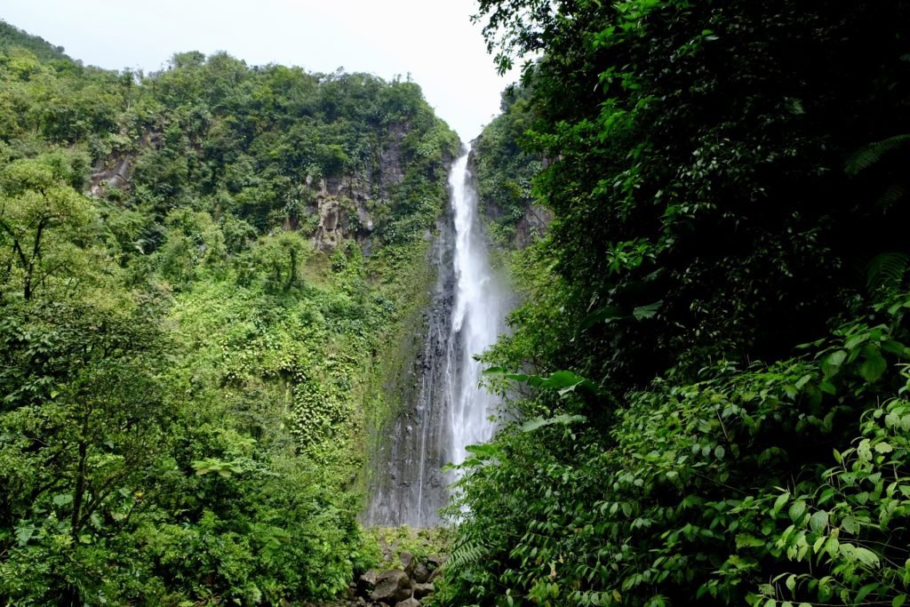 chute du carbet