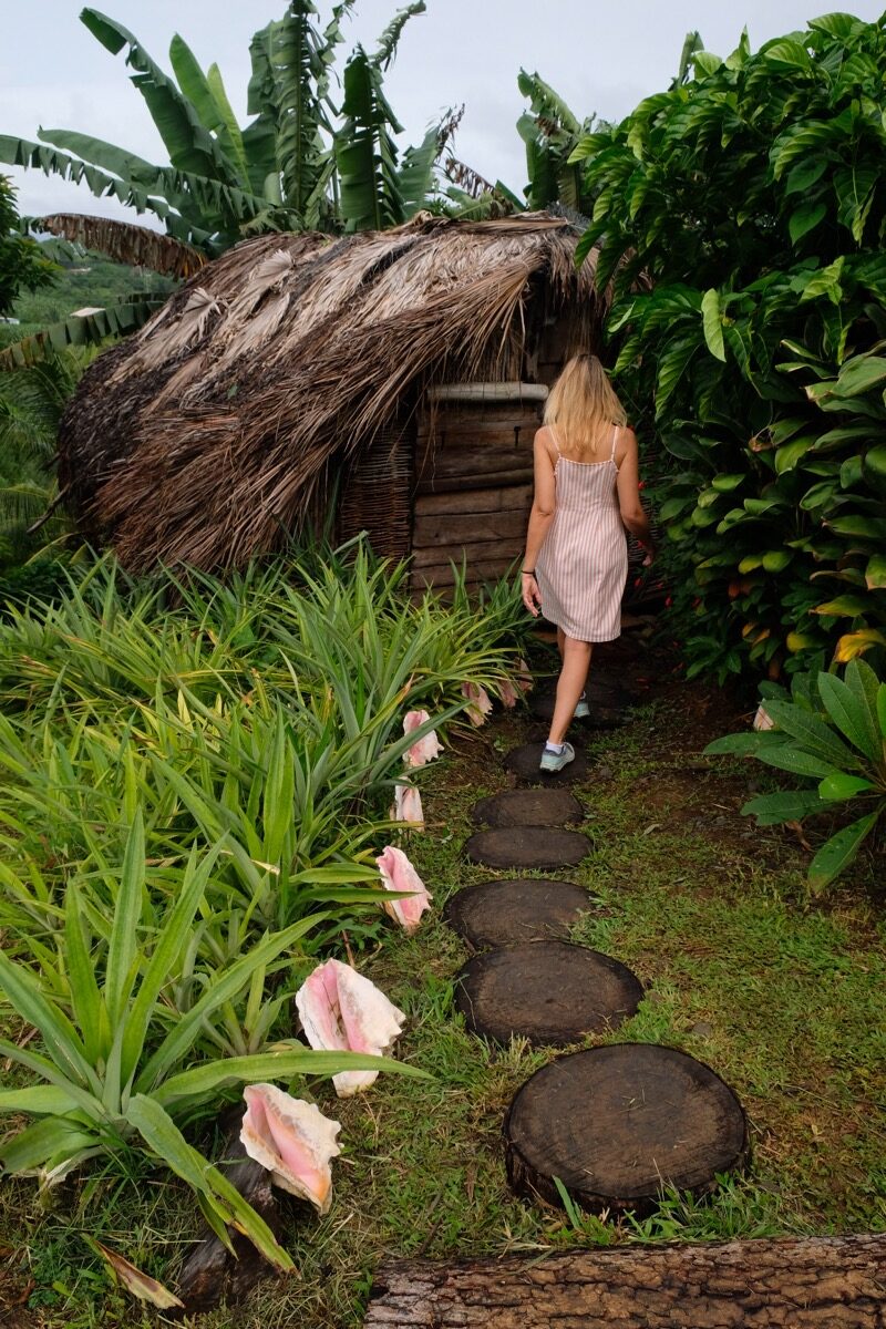 Martinique, the island of flowers - Myoxybubble - The travel blog